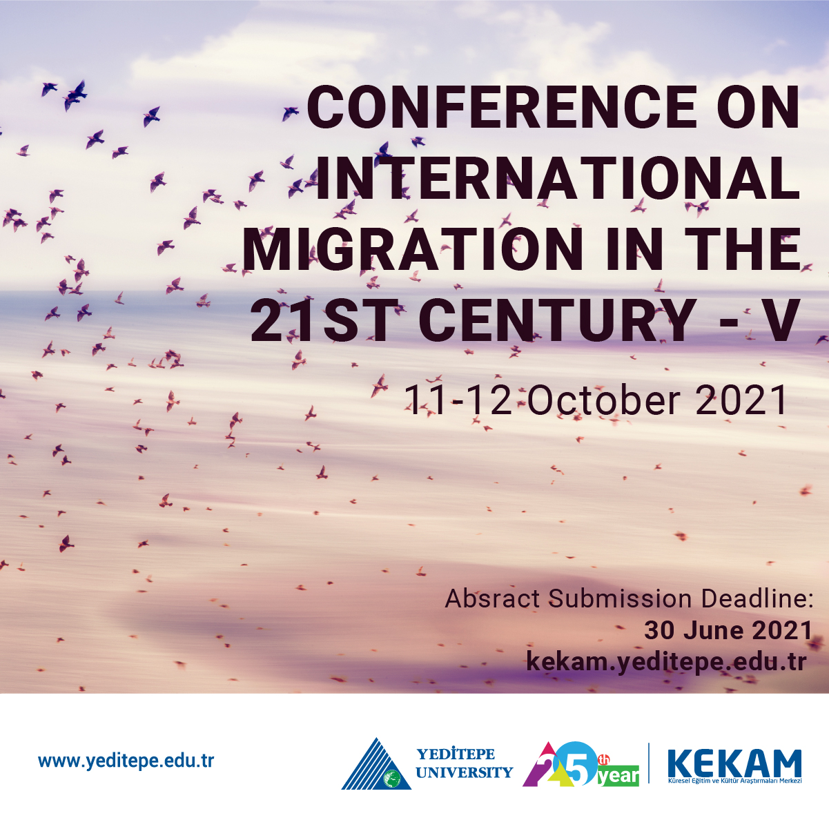 Conference on International Migration in the 21st Century - V