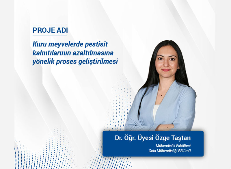 TÜBİTAK-TEYDEB