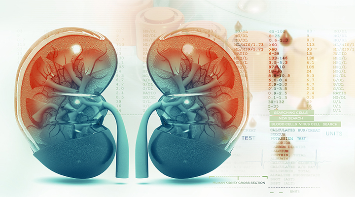 Böbrek Nakli Sonrası İlaç Kullanımına Dikkat!