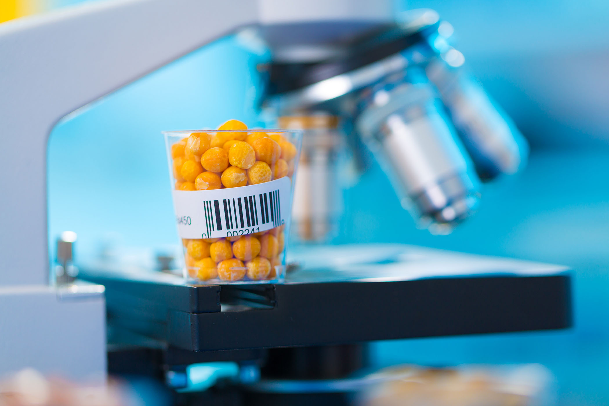 DNA Barkodlama Yöntemiyle Bitkilere Kimlik Veriyorlar