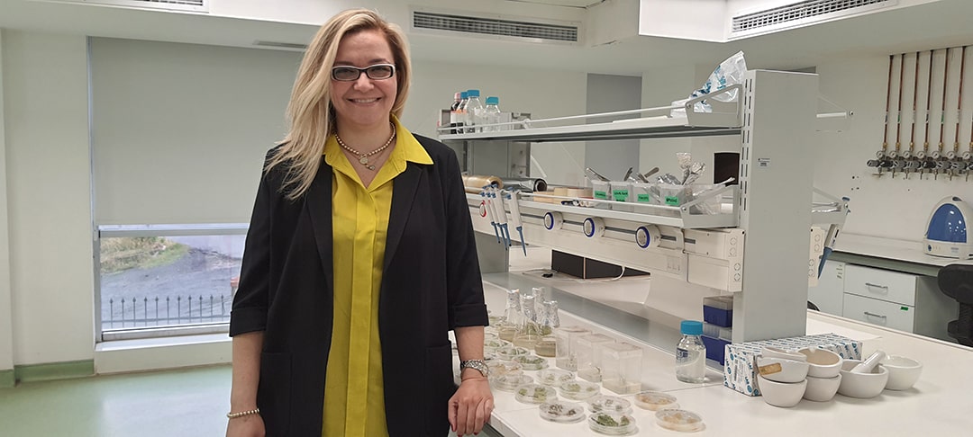 Bitkilerin Şifresini Çözüyor