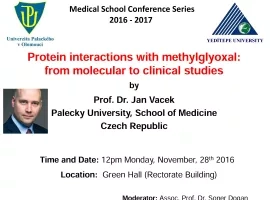 Protein interactions with methylglyoxal: from molecular to  clinical studies