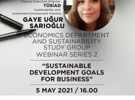 Sustainable Development Goals For Business