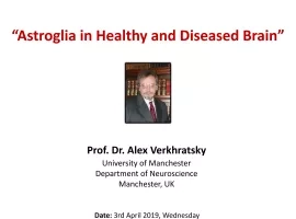 Astroglia in Healthy and Diseased Brain