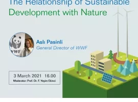 The Relationship of Sustainable Development with Nature