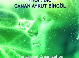 SECRET SCIENCE WITH OUR RECTOR