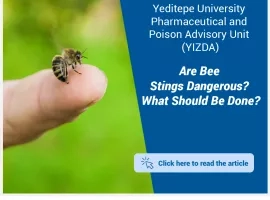 Are Bee Stings Dangerous? What Should We Do?