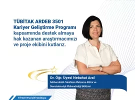 TÜBİTAK-ARDEB 3501
