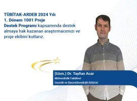 TÜBİTAK-ARDEB 2024 Yılı 1. Dönem 1001 Proje Destek Programı
