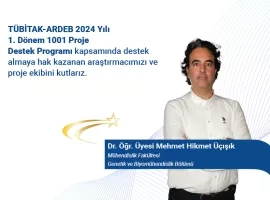 TÜBİTAK-ARDEB 2024 Yılı 1. Dönem 1001 Proje Destek Programı