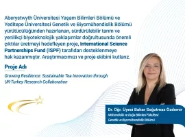 Dr. Bahar Soğutmaz Özdemir’in ISPF Destekli Projesiyle Türkiye’de Sürdürülebilir Çay Üretimine Bilimsel Katkı