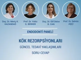 Yeditepe Üniversitesi Diş Hastanesi - Kök Rezorpsiyonları Paneli