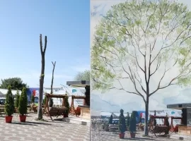 İstanbul'un Kent Ağaçlarında Bakım Sergisi