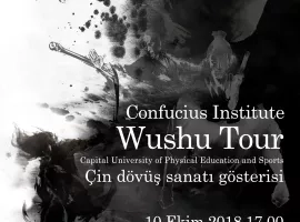 Çin Dövüş Sanatı Gösterisi