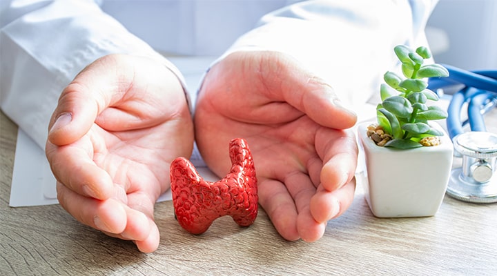 Stres Tiroid Hastalıklarını Tetikliyor; Bu Meslekler Risk Altında!